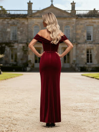 Sheath/Column Short Sleeve Velvet Floor-Length Formal Evening Dresses