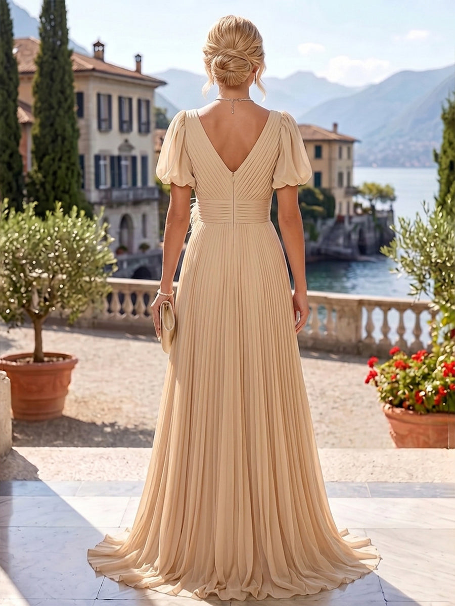 A-Line/Princess V-Neck Chiffon Maxi Mother of the Bride & Groom Dresses with Feather Trim & Pleats