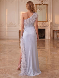 A-Line/Princess One Shoulder Satin Maxi Evening Dresses with Feather Trim & High Slit