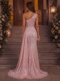 Sheath/Column One Shoulder Glitter Tulle Maxi Evening Dresses with Lace Appliques, Sweep Train, Sash & Slit