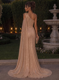 Sheath/Column One Shoulder Glitter Tulle Maxi Evening Dresses with Lace Appliques, Sweep Train, Sash & Slit