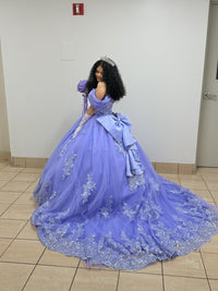 Ball Gowns Lace Applique Princess Quinceanera Dress for 15th Birthday Princess Photoshoot