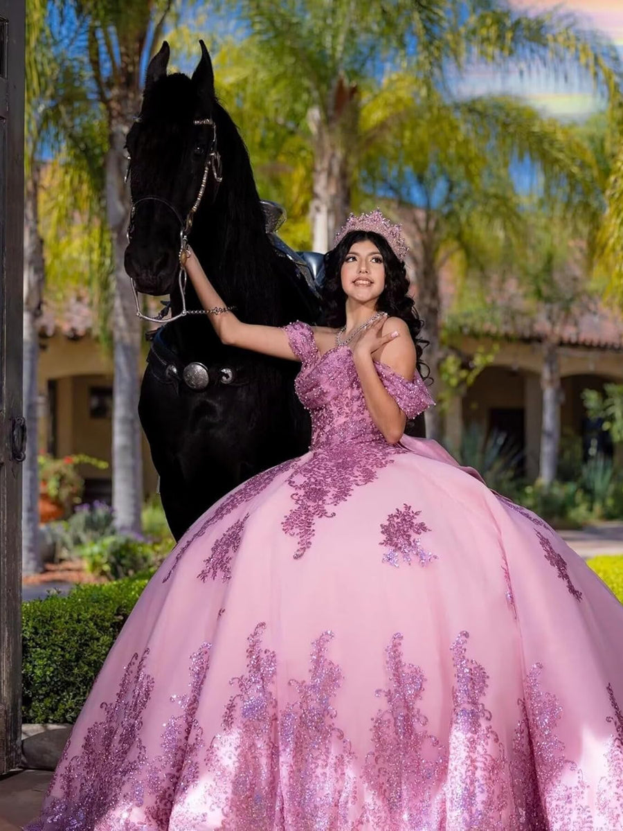 Ball Gowns Lace Applique Princess Quinceanera Dress for 15th Birthday Princess Photoshoot