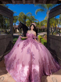 Ball Gowns Lace Applique Princess Quinceanera Dress for 15th Birthday Princess Photoshoot