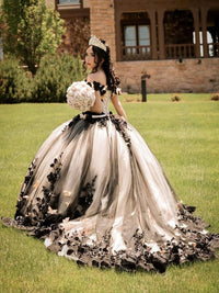 Ball Gowns Black White Lace Applique Princess Quinceanera Dress for 15th Birthday Princess Photoshoot
