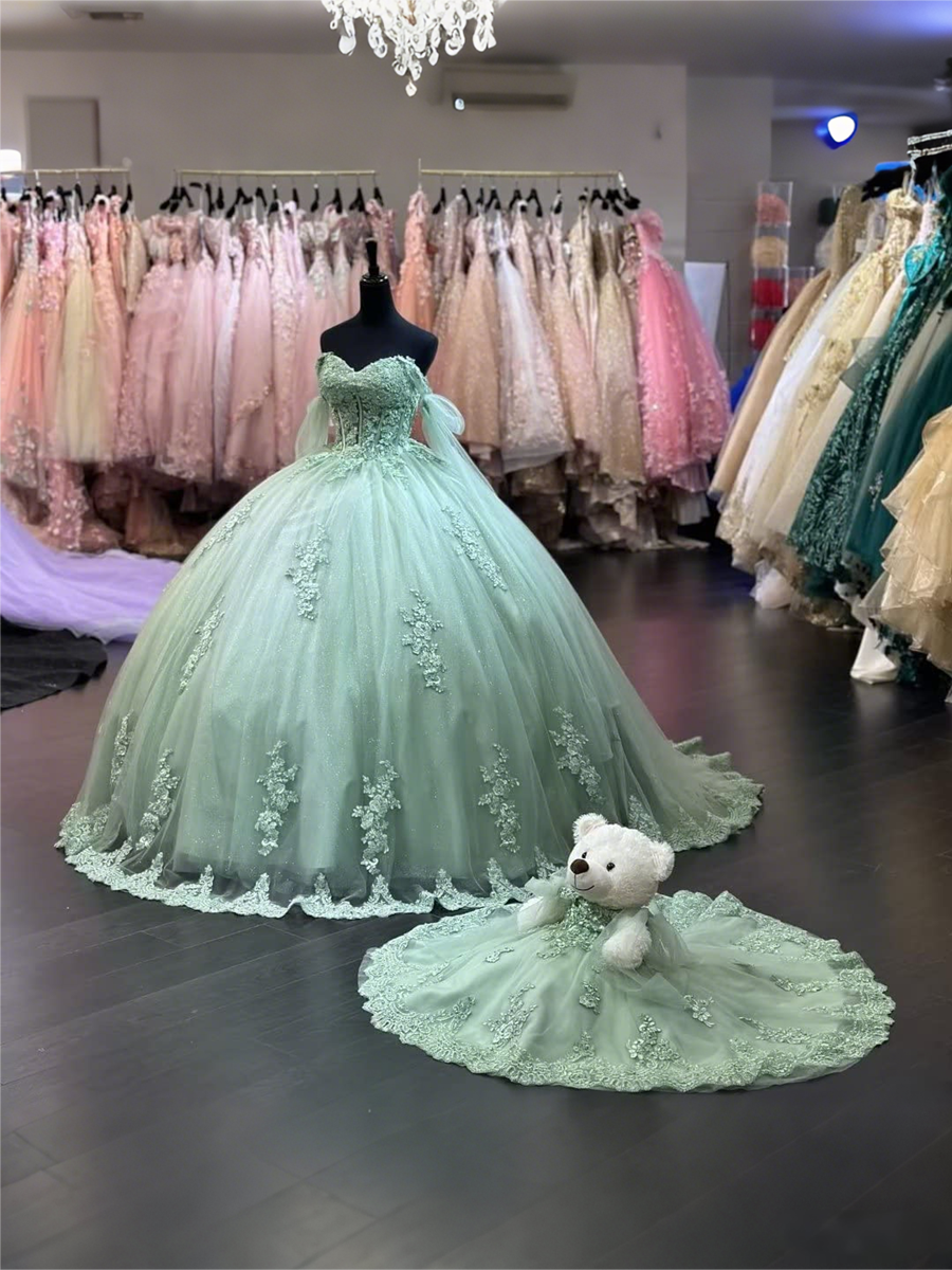 Ball Gowns Empire Waist Corset Princess Quinceanera Dress for 15th Birthday Photoshoot