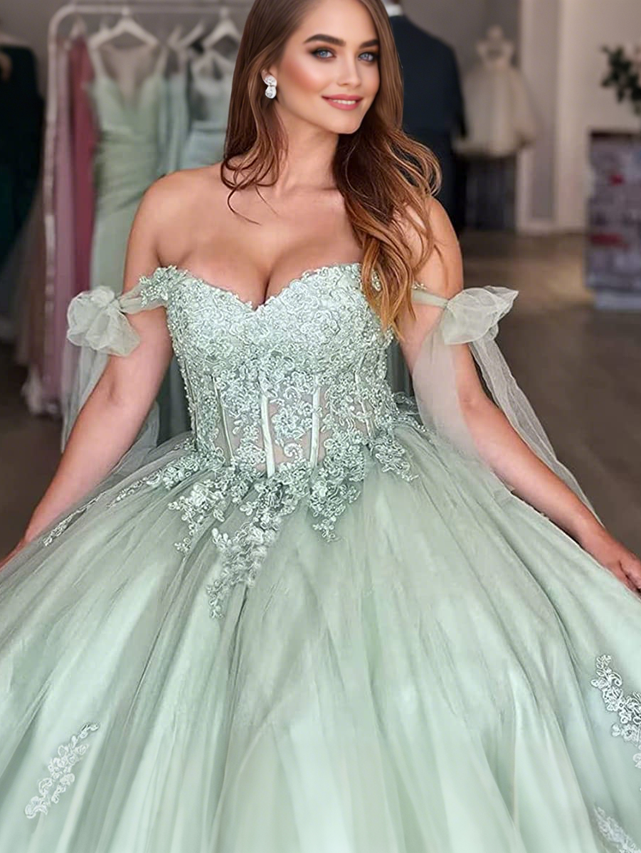 Ball Gowns Empire Waist Corset Princess Quinceanera Dress for 15th Birthday Photoshoot