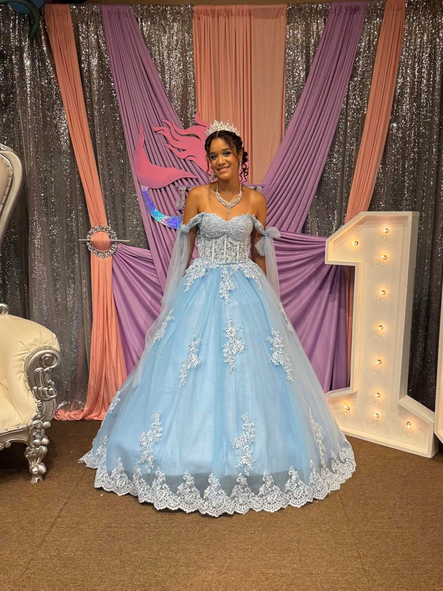 Ball Gowns Empire Waist Corset Princess Quinceanera Dress for 15th Birthday Photoshoot