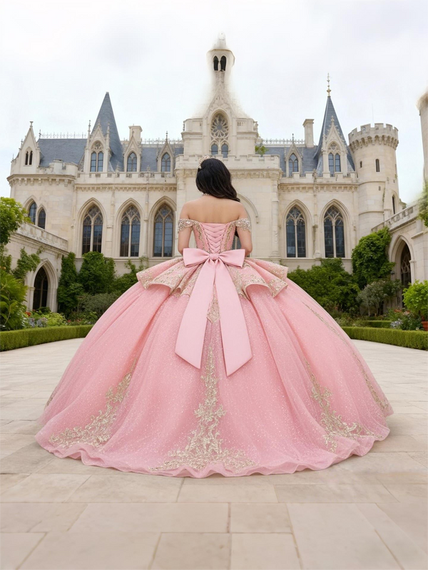 Ball Gowns Tulle Corset Princess Quinceanera Dress for 15th Birthday Photoshoot