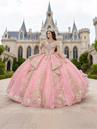 Ball Gowns Tulle Corset Princess Quinceanera Dress for 15th Birthday Photoshoot