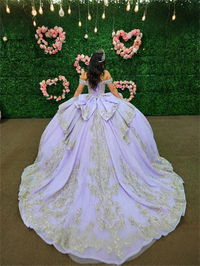Ball Gowns Rhinestone Corset Princess Quinceanera Dress for 15th Birthday