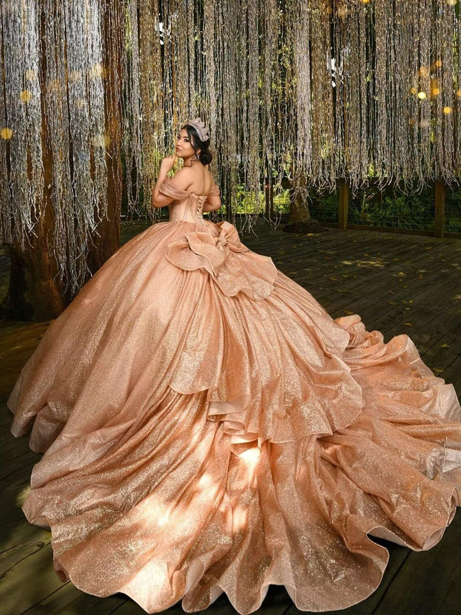 Ball Gowns Bow Princess Empire Waist Quinceanera Dress for 15th Birthday Photoshoot