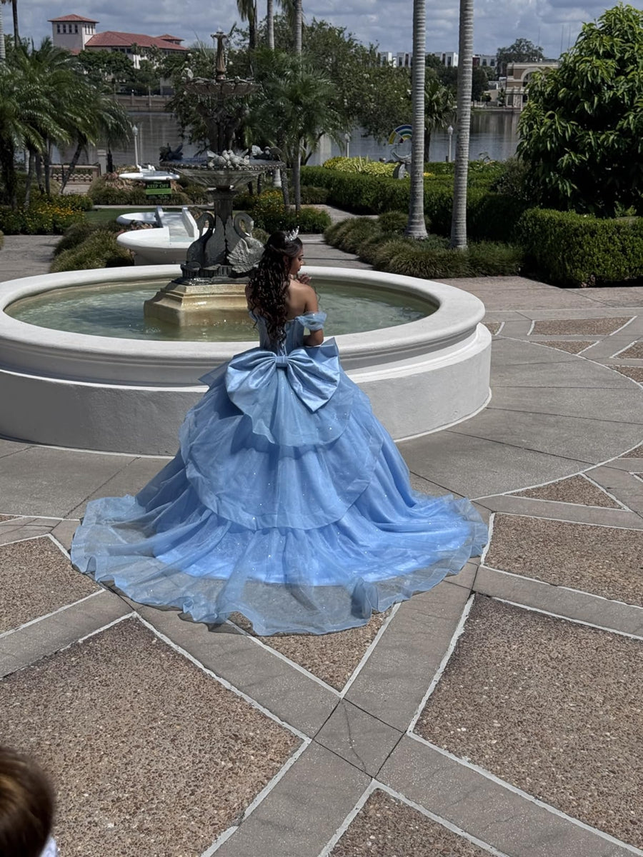 Ball Gowns Bow Princess Empire Waist Quinceanera Dress for 15th Birthday Photoshoot