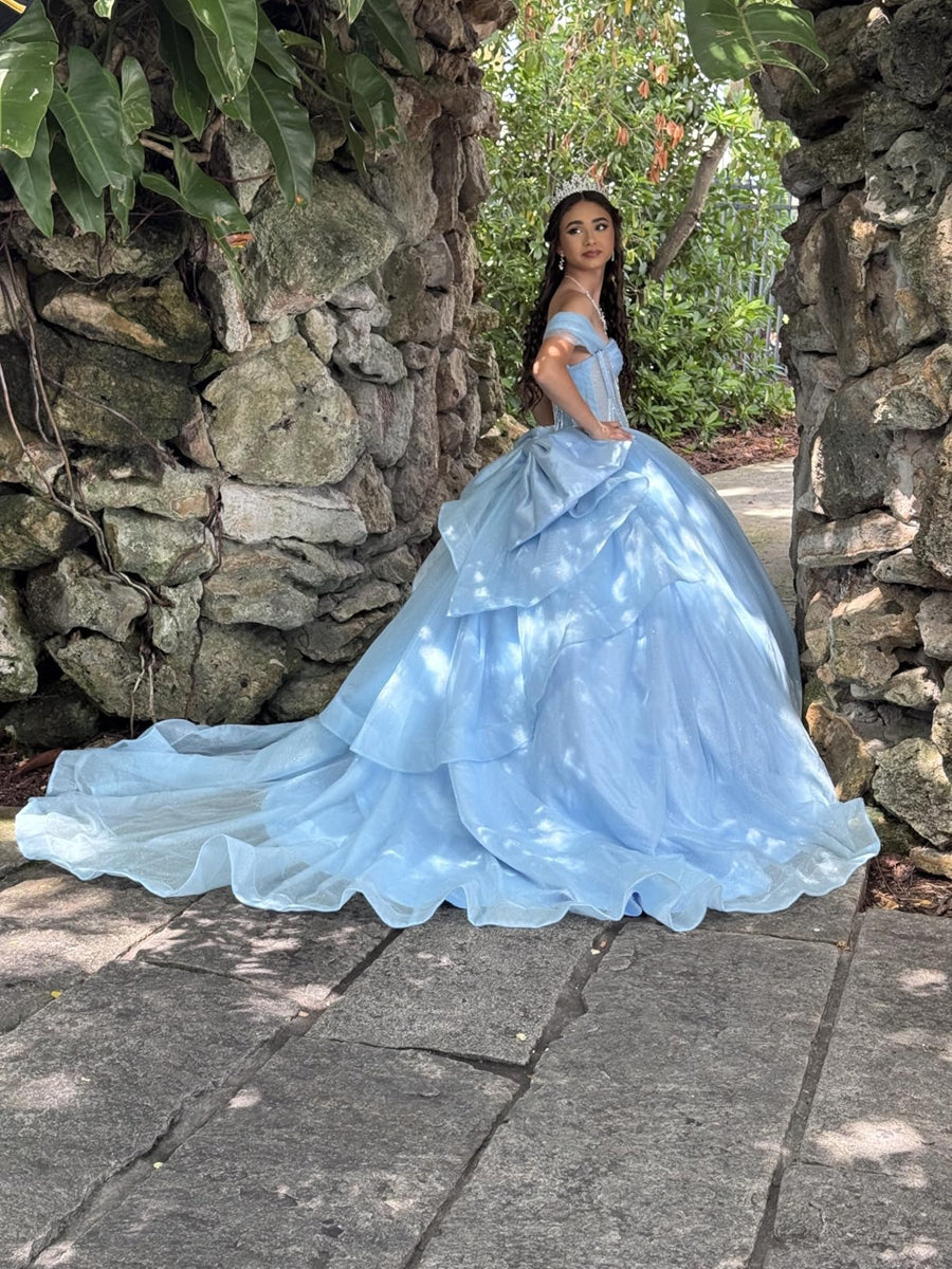Ball Gowns Bow Princess Empire Waist Quinceanera Dress for 15th Birthday Photoshoot