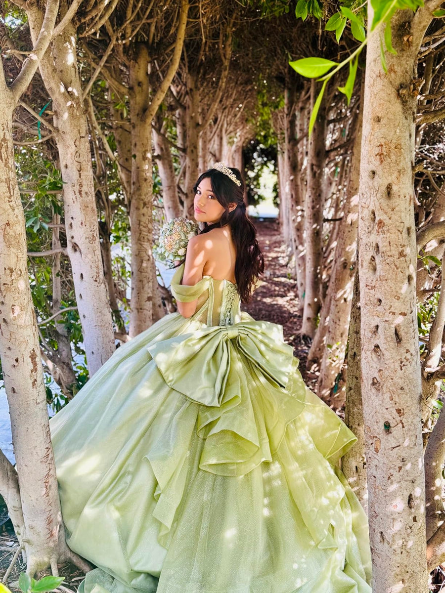 Ball Gowns Bow Princess Empire Waist Quinceanera Dress for 15th Birthday Photoshoot