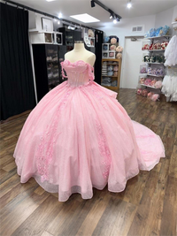 Ball Gowns Princess Quinceanera Dress for 15th Birthday Empire Waist Photoshoot