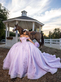 Ball Gowns Princess Quinceanera Dress for 15th Birthday Empire Waist Photoshoot