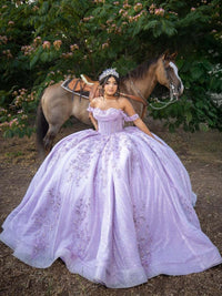Ball Gowns Princess Quinceanera Dress for 15th Birthday Empire Waist Photoshoot