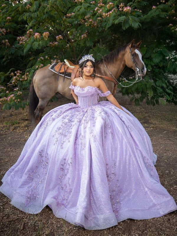 Ball Gowns Princess Quinceanera Dress for 15th Birthday Empire Waist Photoshoot