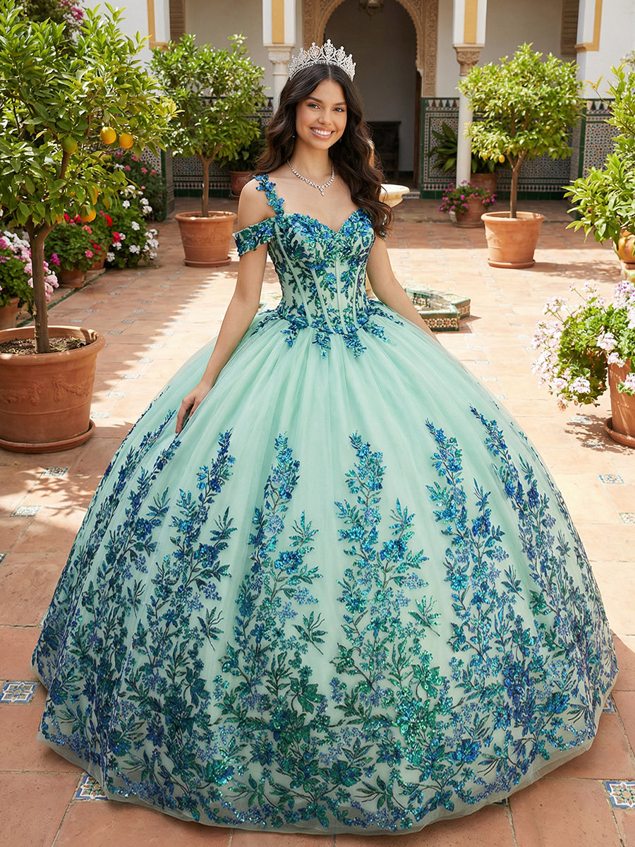Sparkly Tulles Quinceanera Dress Cold Shoulder Ball Gowns for Photoshoot for Princess Sweet 15