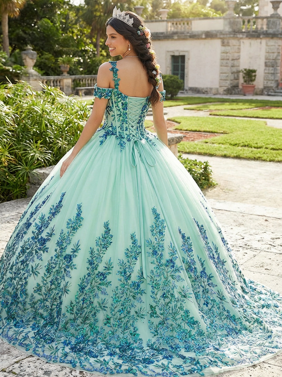 Sparkly Tulles Quinceanera Dress Cold Shoulder Ball Gowns for Photoshoot for Princess Sweet 15