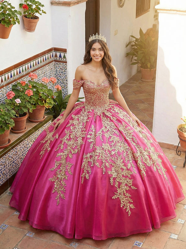 Sparkly Tulles Quinceanera Dress Off Shoulder Ball Gowns for Photoshoot for Princess Sweet 15