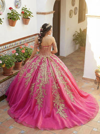 Sparkly Tulles Quinceanera Dress Off Shoulder Ball Gowns for Photoshoot for Princess Sweet 15