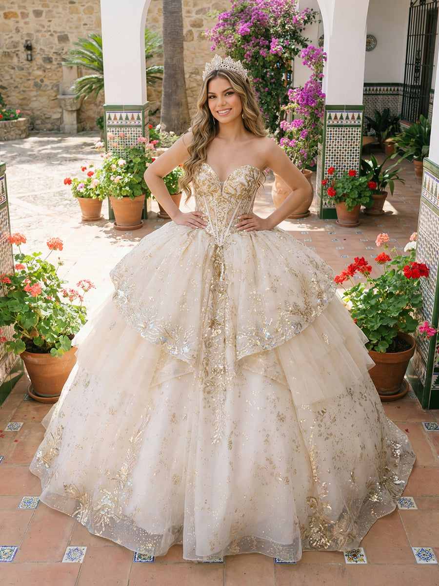 Ball Gowns Ruffles Tulles Quinceanera Dress for Photoshoot for Princess Sweet 15