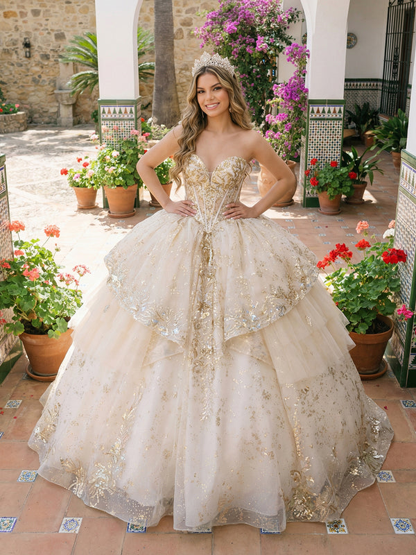 Ball Gowns Ruffles Tulles Quinceanera Dress for Photoshoot for Princess Sweet 15