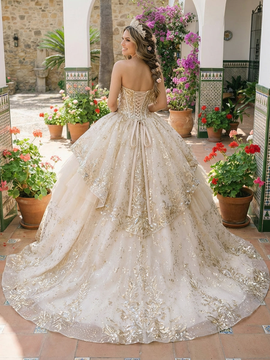 Ball Gowns Ruffles Tulles Quinceanera Dress for Photoshoot for Princess Sweet 15