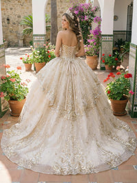 Ball Gowns Ruffles Tulles Quinceanera Dress for Photoshoot for Princess Sweet 15