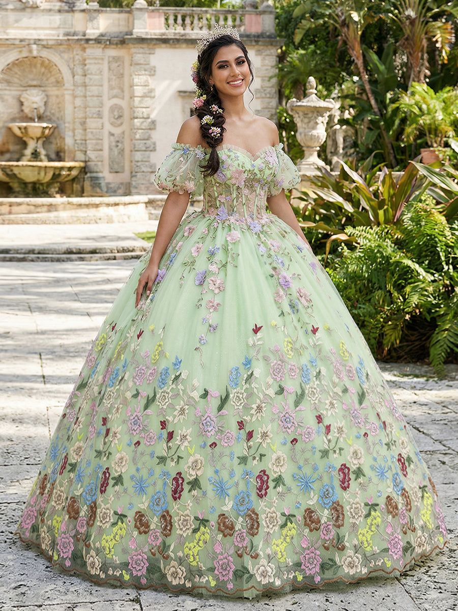 Colorful Tulles Quinceanera Dress Cold Shoulder Ball Gowns for Photoshoot for Princess Sweet 15