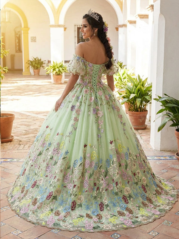 Colorful Tulles Quinceanera Dress Cold Shoulder Ball Gowns for Photoshoot for Princess Sweet 15