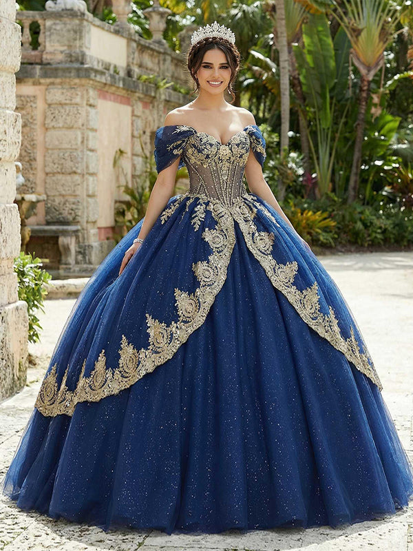 Ball Gowns Tulles Glitter Quinceanera Dress Photoshoot for Princess Sweet 15