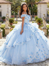 Tulles Quinceanera Dress Cold Shoulder Photoshoot for Princess Gowns Sweet 15