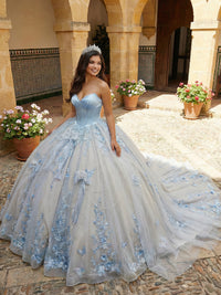 Ball Gowns Tulles Strapless Quinceanera Dress Photoshoot for Princess Sweet 15