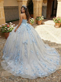 Ball Gowns Tulles Strapless Quinceanera Dress Photoshoot for Princess Sweet 15