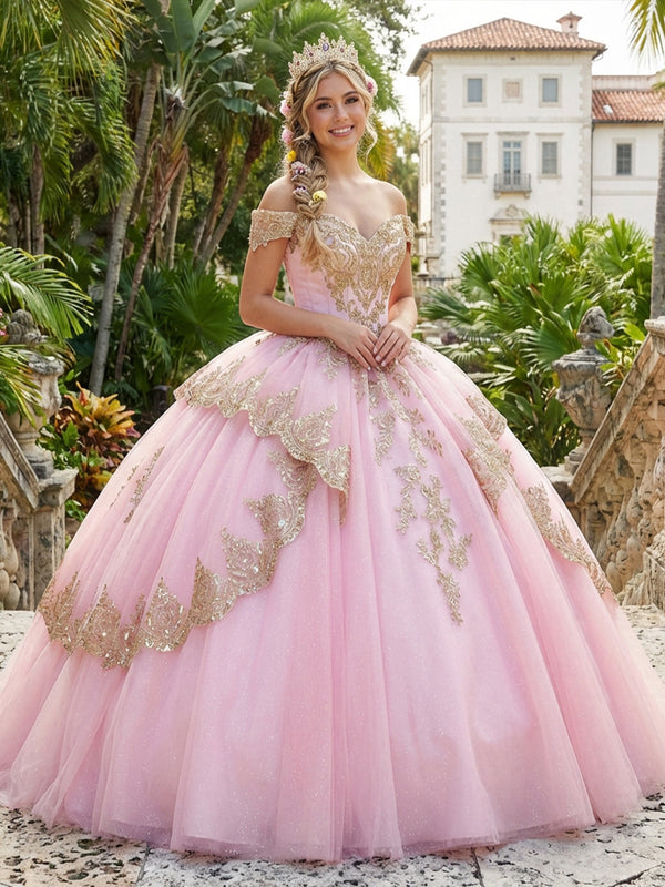 Tulles Quinceanera Dress Off Shoulder Photoshoot for Princess Gowns Sweet 15