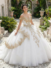 Tulles Quinceanera Dress Off Shoulder Photoshoot for Princess Gowns Sweet 15