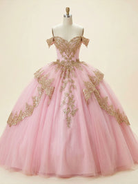 Tulles Quinceanera Dress Off Shoulder Photoshoot for Princess Gowns Sweet 15