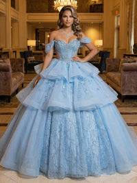 Ball Gowns Tulles Layered Quinceanera Dress Photoshoot for Princess Sweet 15