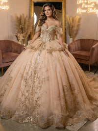 Sparkly Glitter Quinceanera Dress Ball Gowns for Photoshoot for Princess Sweet 15