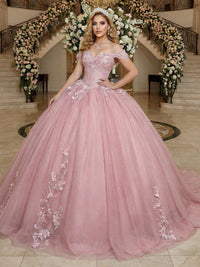 Tulles Quinceanera Dress Off the Shoulder Photoshoot for Princess Ball Gowns Sweet 15