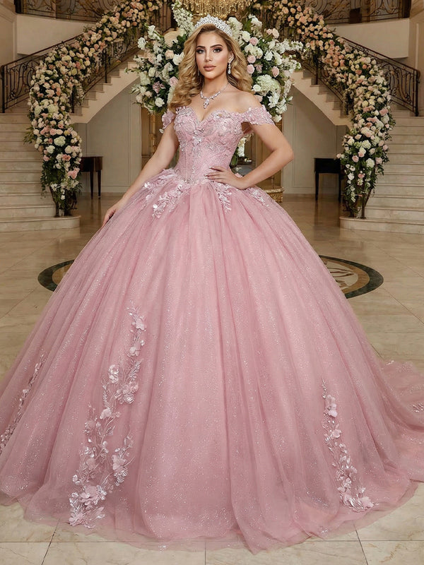 Tulles Quinceanera Dress Off the Shoulder Photoshoot for Princess Ball Gowns Sweet 15