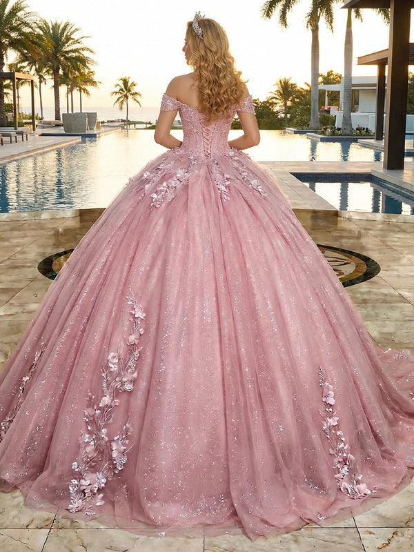 Tulles Quinceanera Dress Off the Shoulder Photoshoot for Princess Ball Gowns Sweet 15