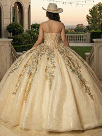 Glitter Strapless Quinceanera Dress for Sweet 15 16 Ball Gowns Princess PhotoShoot