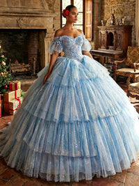 Ball Gowns Tulles Layered Quinceanera Dresses Photoshoot for Princess Sweet 15
