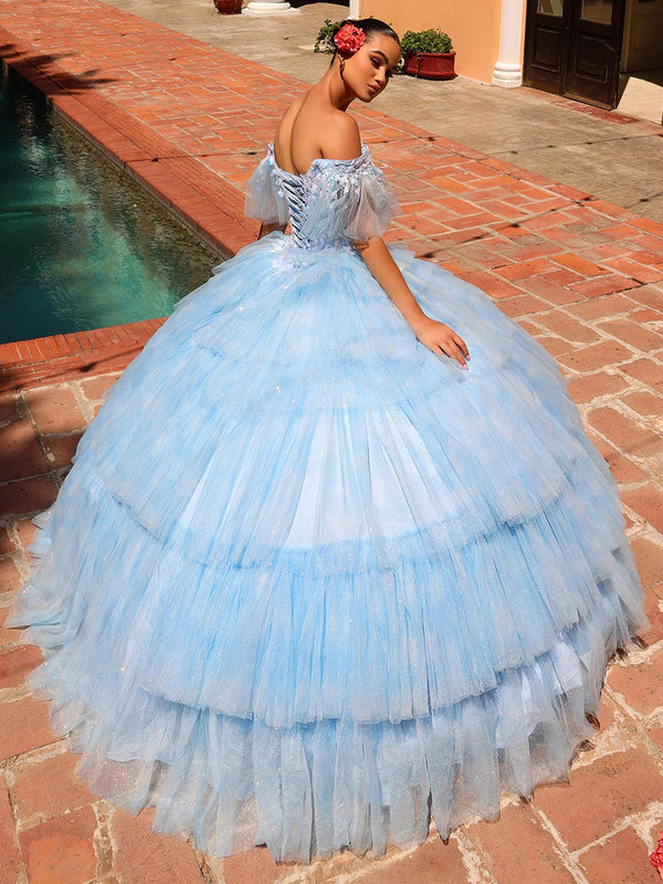 Ball Gowns Tulles Layered Quinceanera Dresses Photoshoot for Princess Sweet 15