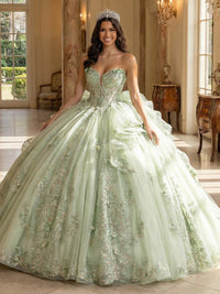 Tulles Quinceanera Dresses 3D Flower Ball Gowns for Photoshoot for Princess Sweet 15