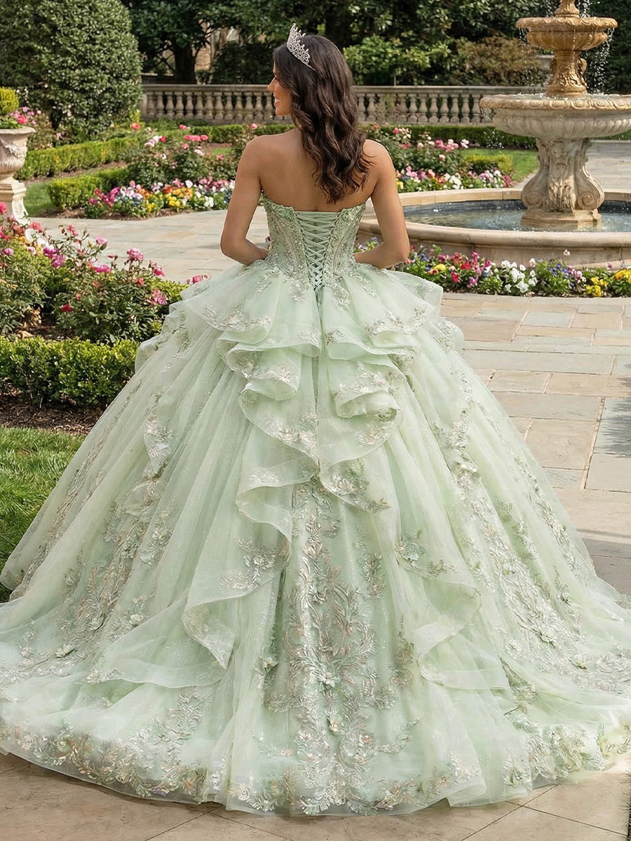 Tulles Quinceanera Dresses 3D Flower Ball Gowns for Photoshoot for Princess Sweet 15